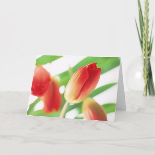 Simple Elegant Tulip Thank You Card