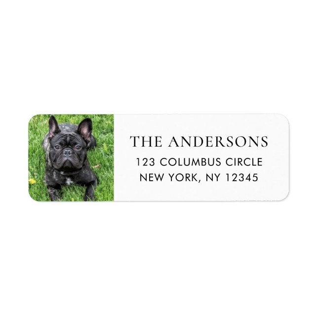 Simple Family Dog Photo Return Address Label (Front)