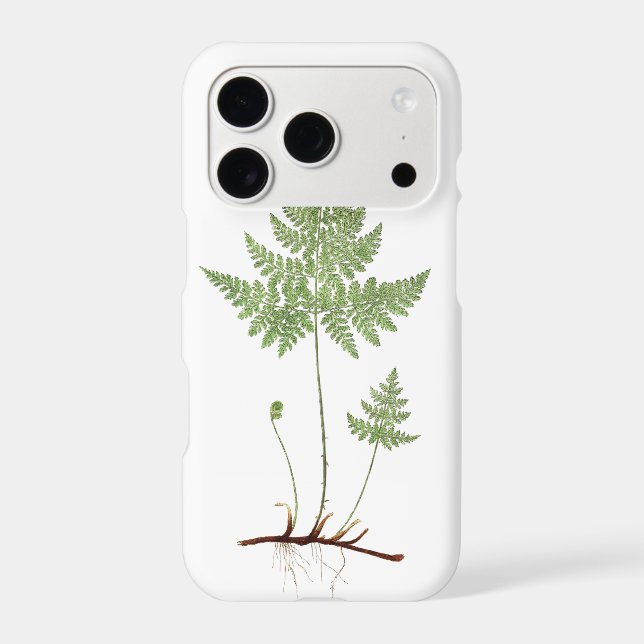 Simple fern,  iphone case (Back)