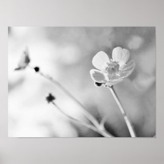 Simple Flower Black and White Poster