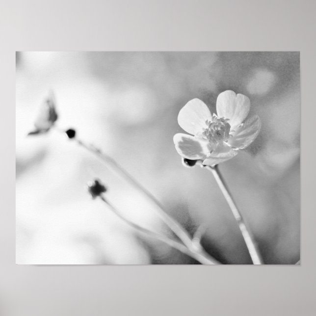 Simple Flower Black and White Poster (Front)