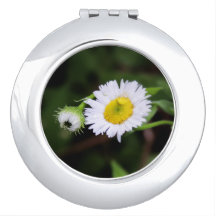 Simple Forest Daisy