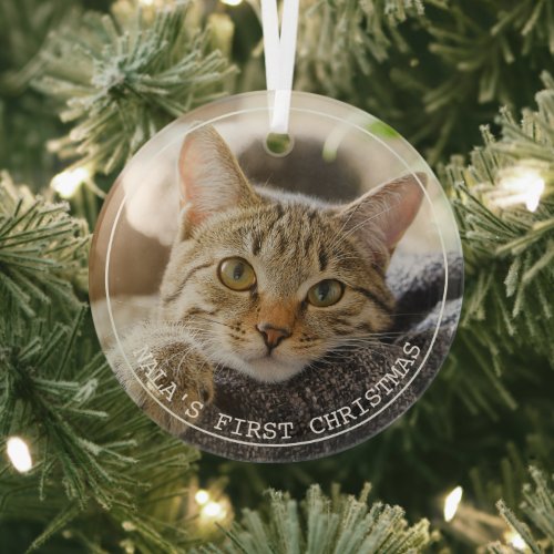 Simple Frame Animal Pet Photo Ornament