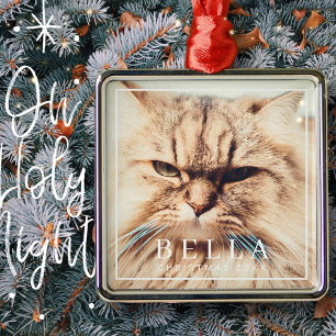 Simple Frame Modern Chic Family Pet Photo Holiday Metal Ornament