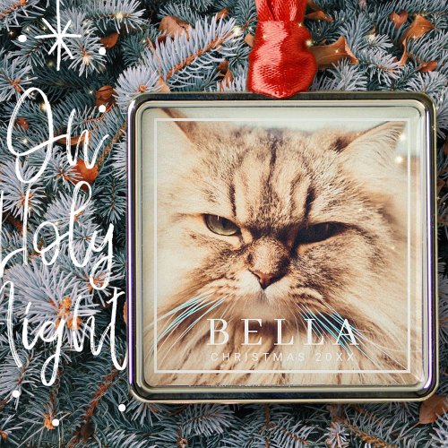Simple Frame Modern Chic Family Pet Photo Holiday Metal Ornament