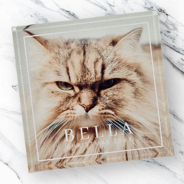 Simple Frame Modern Chic Family Pet Photo Holiday Paperweight (Creator Uploaded)