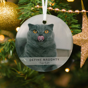 Simple Funny 'Define Naughty' Pet Photo Keepsake  Glass Ornament