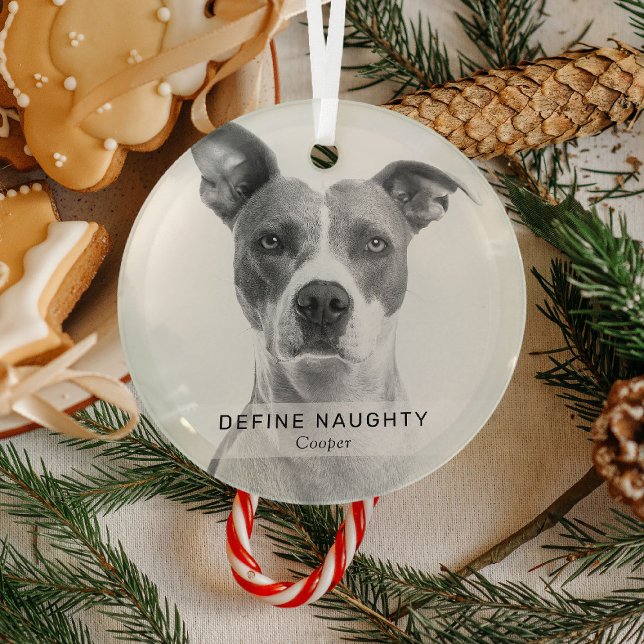 Simple Funny 'Define Naughty' Pet Photo Keepsake  Glass Ornament (Creator Uploaded)