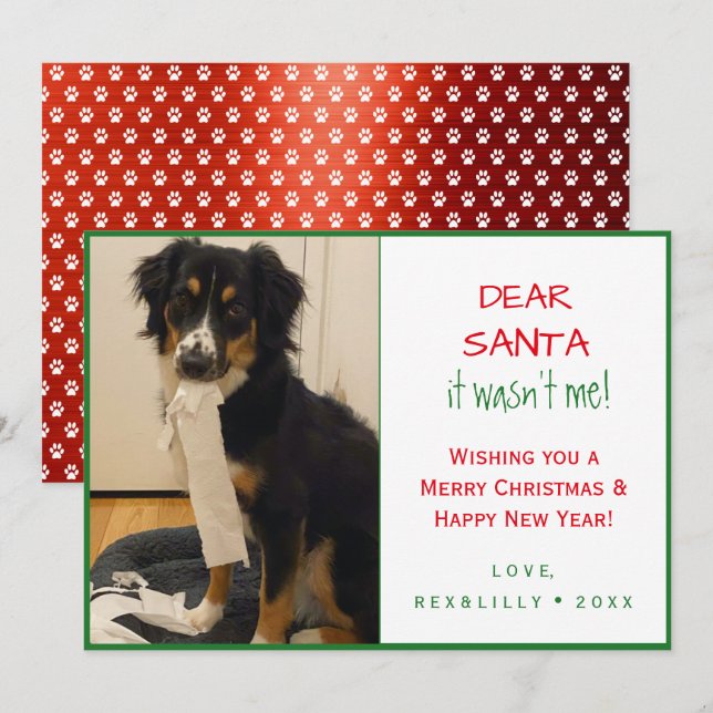 Simple Funny Red and Green Paw Print Dog Holiday Card (Front/Back)