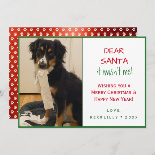 Simple Funny Red and Green Paw Print Dog Holiday Card