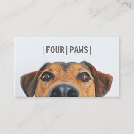 Simple Gray Pet Photography Cute Dog Photo Plain Business Card