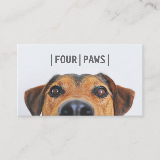 Simple gray pet photography cute dog photo plain business card (Front)