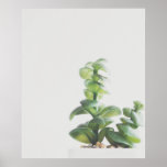 Simple Green Plant Minimalist Photo Poster<br><div class="desc">A simple,  modern minimalist photo of a cool green plant.</div>