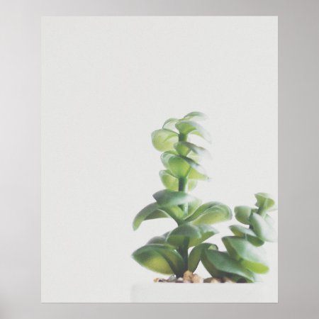 Simple Green Plant Minimalist Photo Poster
