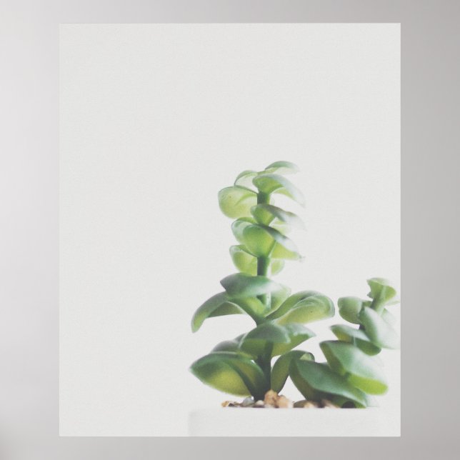 Simple Green Plant Minimalist Photo Poster (Front)