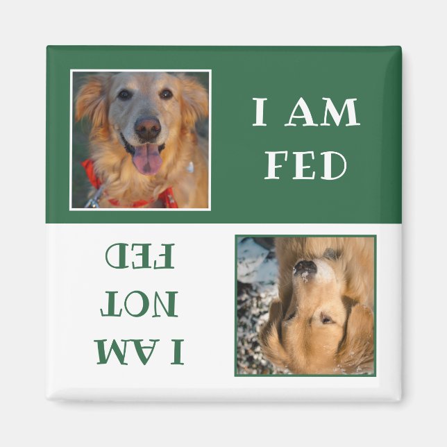 Simple Green White Dog Fed Photo Magnet (Front)