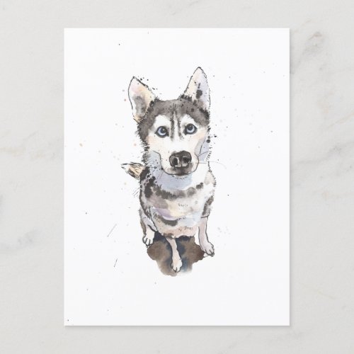 simple Grey Husky cute funny dog Postcard