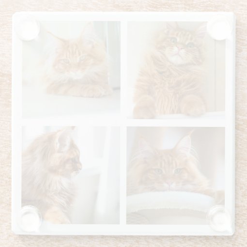 Simple Grid Collage 4 Four Photos Glass Coaster | Zazzle