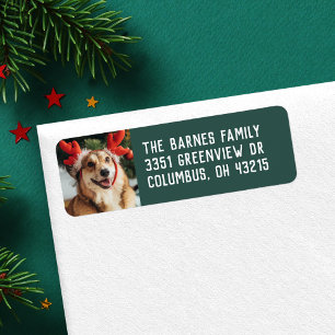 Simple holiday pet photo green return address label