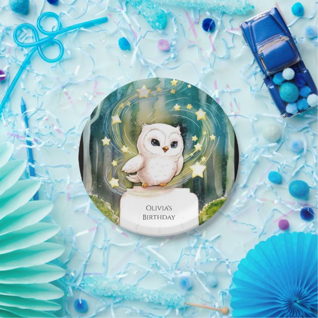 Simple Into the Woods Owl Birthday Paper Plates (Party)