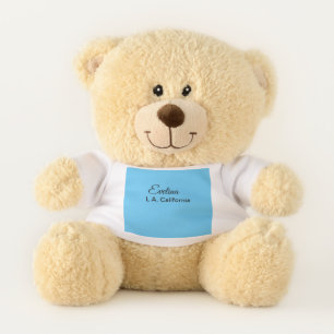 Simple minimal add your name text place city custo teddy bear