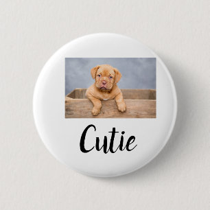 simple minimal add your pet photo name custom button