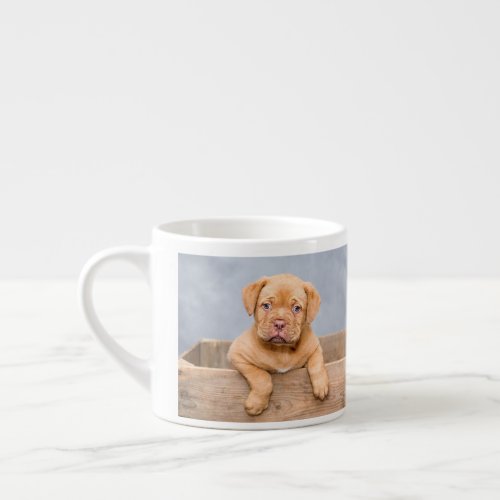 simple minimal add your pet photo name custom    espresso cup