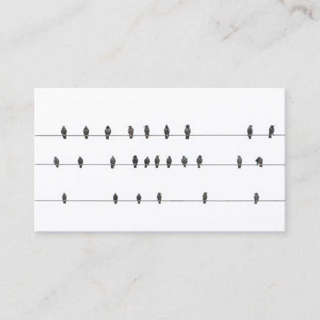 Simple Minimal Birds on Wires | Business Card (Front)