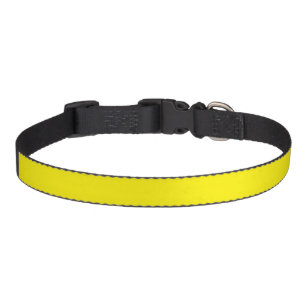 simple minimal solid color custom pet collar