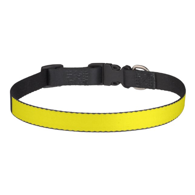 simple minimal solid color custom      pet collar (Front)