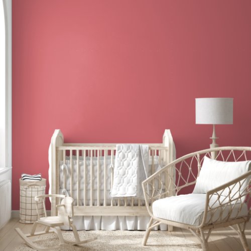 Simple Minimalist Elegant Plain Coral Chic Wallpaper