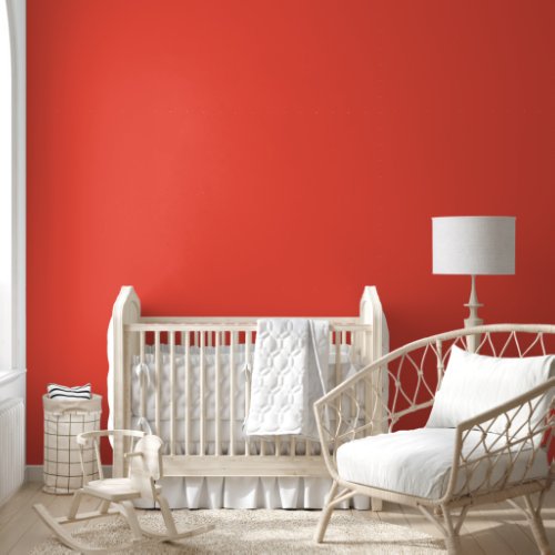 Simple Minimalist Elegant Plain Coral Chic Wallpaper
