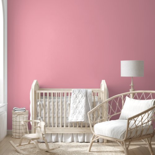 Simple Minimalist Elegant Plain Pink Chic  Wallpaper