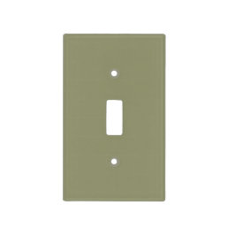 Simple minimalist pastel sage light switch cover