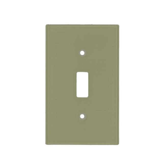Simple minimalist pastel sage light switch cover (Front)