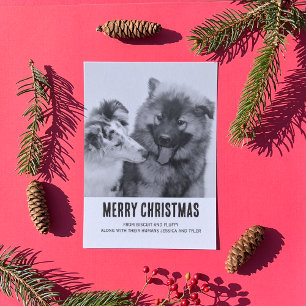Simple Minimalist Pet or People Photo Holiday Letterpress Photo Cards