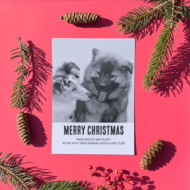 Simple Minimalist Pet or People Photo Holiday Letterpress Photo Cards (Creator Uploaded)