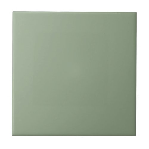 Simple Minimalist Sage Green Solid Color Plain Ceramic Tile