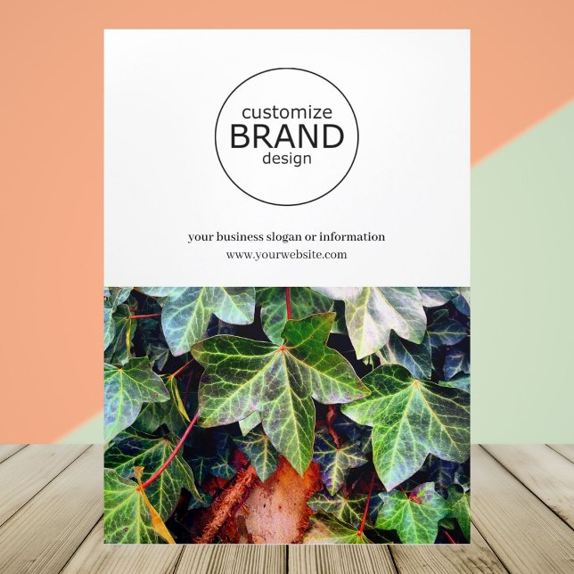 Simple Modern Business Logo Trifold Photo Brochure (business brochure)