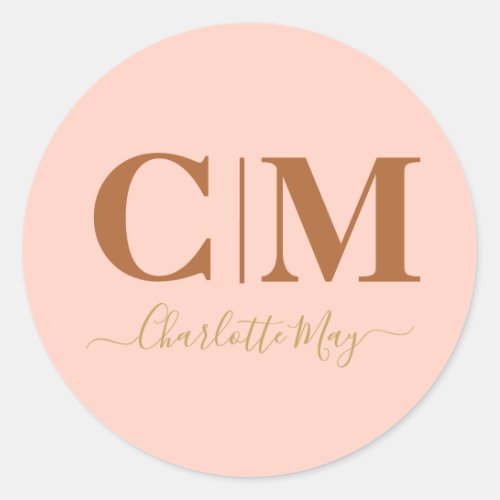 Simple Modern Chic Blush Pink Company Promotional Classic Round Sticker
