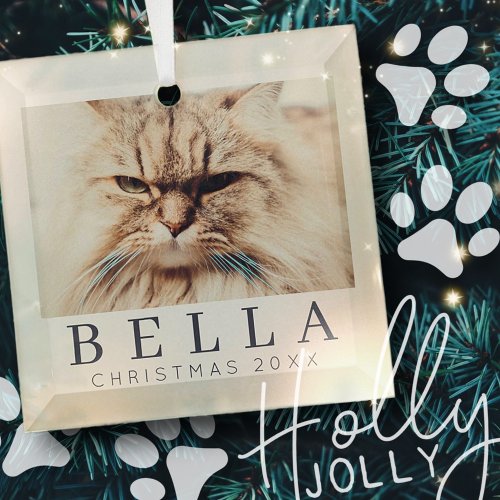 Simple Modern Chic Custom Family Pet Photo Holiday Glass Ornament