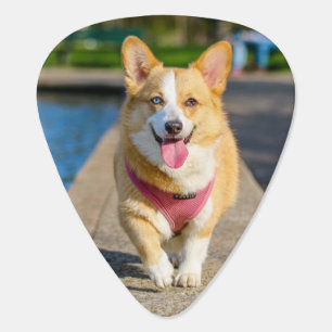 Simple Modern Create Your Own Custom 2 Photo  Guitar Pick