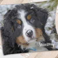Simple Modern Custom Personalized Pet Dog Photo
