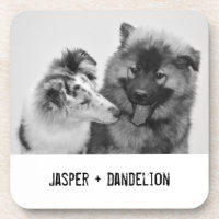 Simple, Modern Custom Pet or People Photo