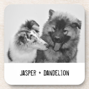 Simple, Modern Custom Pet or People Photo Beverage Coaster
