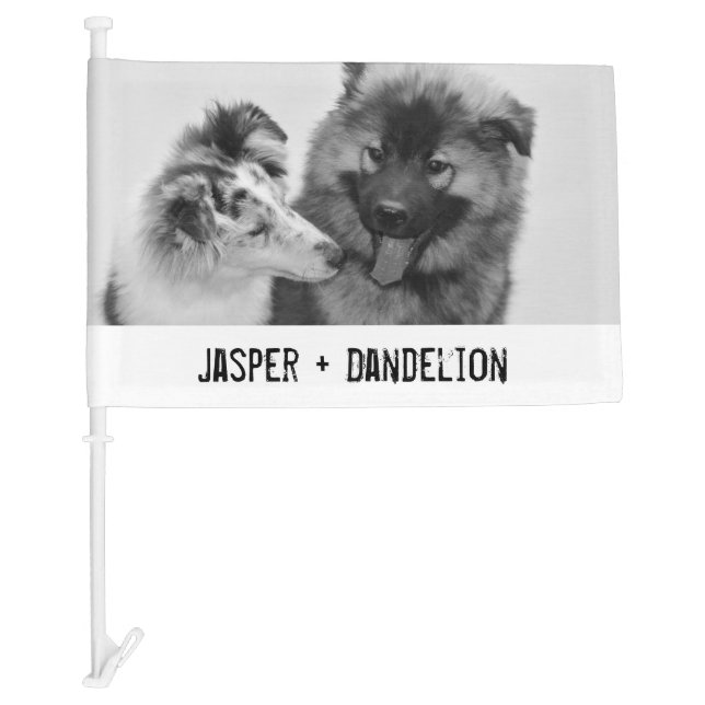 Simple, Modern Custom Pet or People Photo Car Flag (Front)