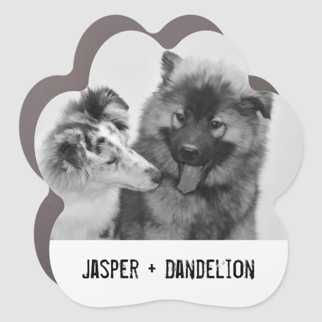 Simple, Modern Custom Pet or People Photo Car Magnet (Front)