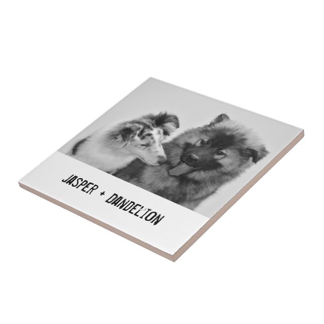 Simple, Modern Custom Pet or People Photo Ceramic Tile (Side)