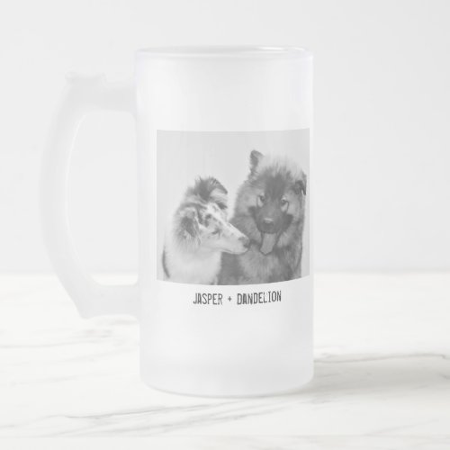 Simple Modern Custom Pet or People Photo Frosted Glass Beer Mug