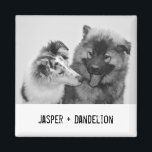 Simple, Modern Custom Pet or People Photo Magnet<br><div class="desc">Add your own photo and text to create a unique photo gift. This refrigerator magnet is ready to be customized with your photo and your own names or message in distressed black typewriter style lettering. The simple, modern black and white style looks great with black and white or color photos....</div>